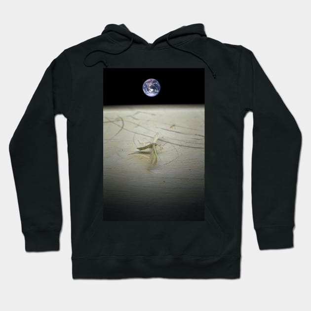 Lunar Lander Hoodie by Nigdaw